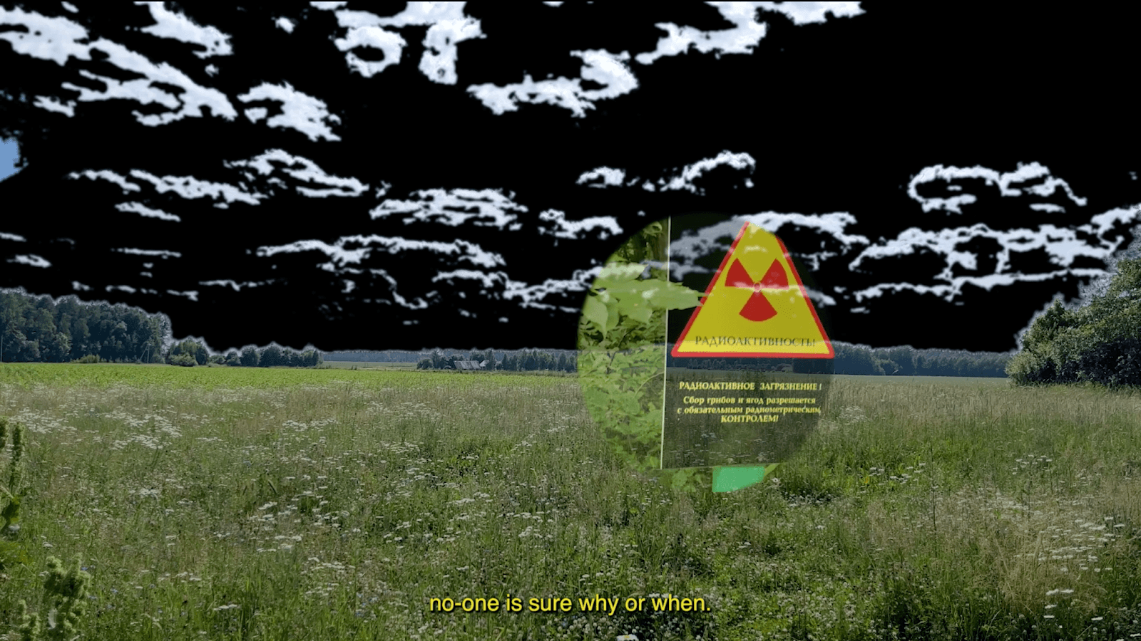 Иллюстрация: кадр из видео автор:ки Rooting: search for a sign (Укореняясь: в поисках знака) (2023, 06:52).&nbsp;