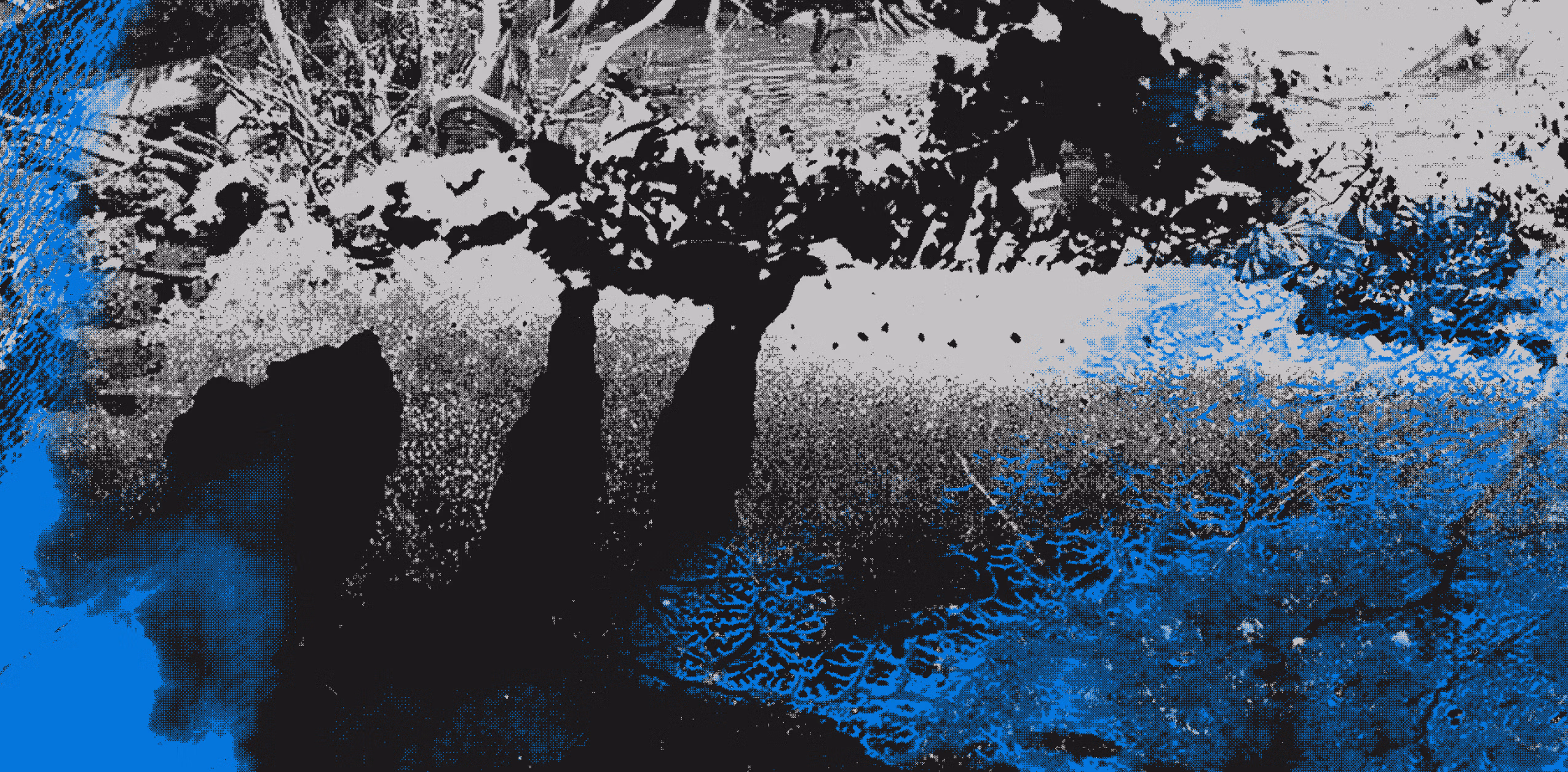 A Manifesto from Nowhere. On the possibility of decolonisation beyond the nation-state project