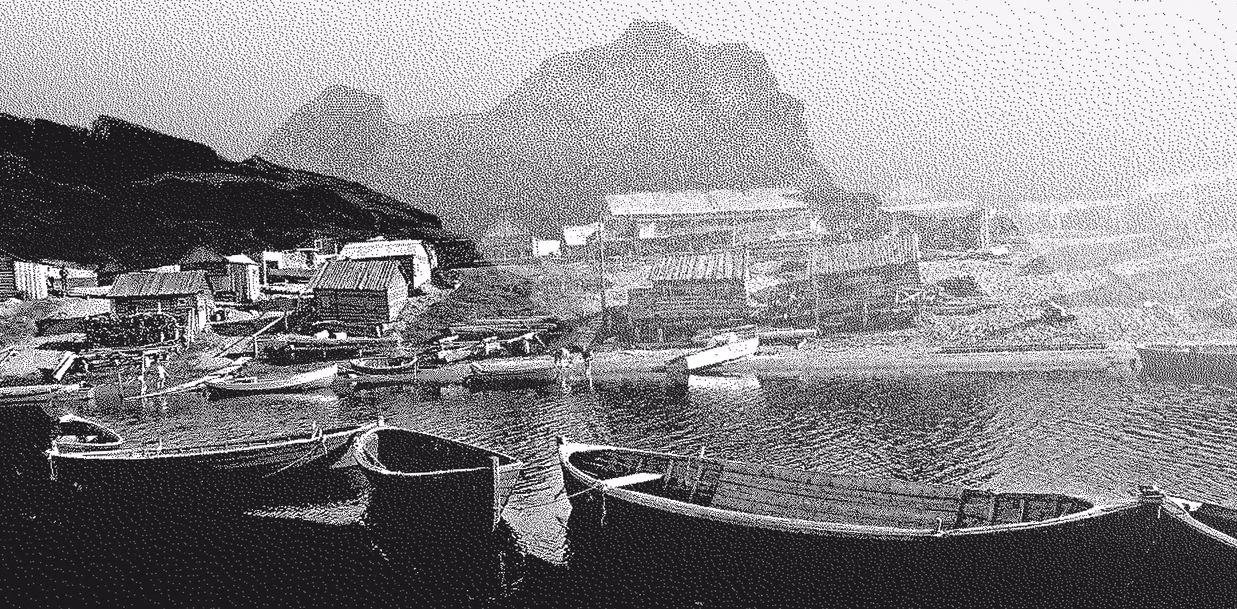 Можно ли придумать имя десятку видов болот? Эссе о поморьской говóре