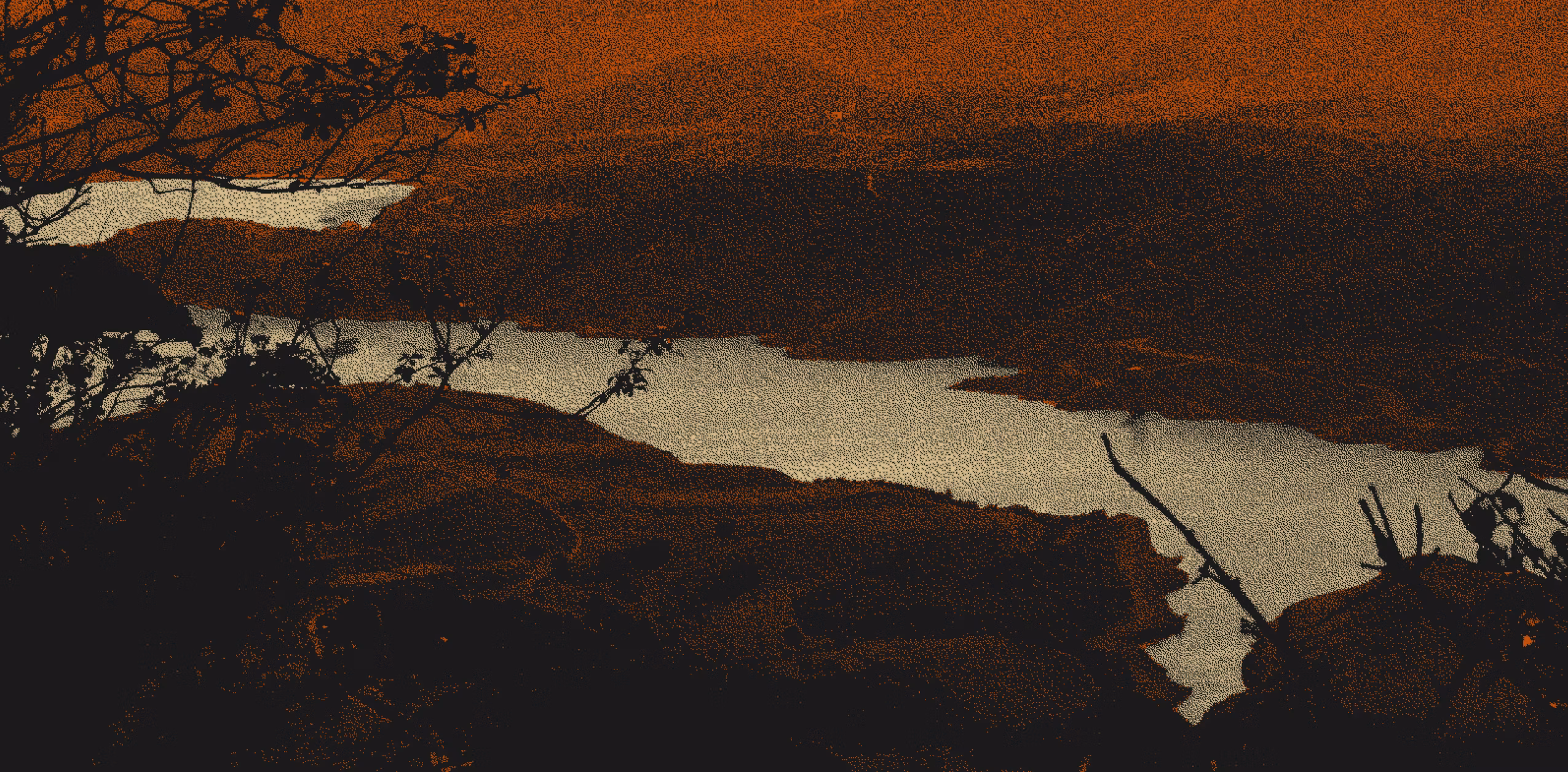 The Tail’s Telltales