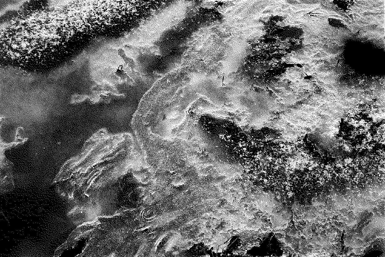 Фото: Катерина Мять