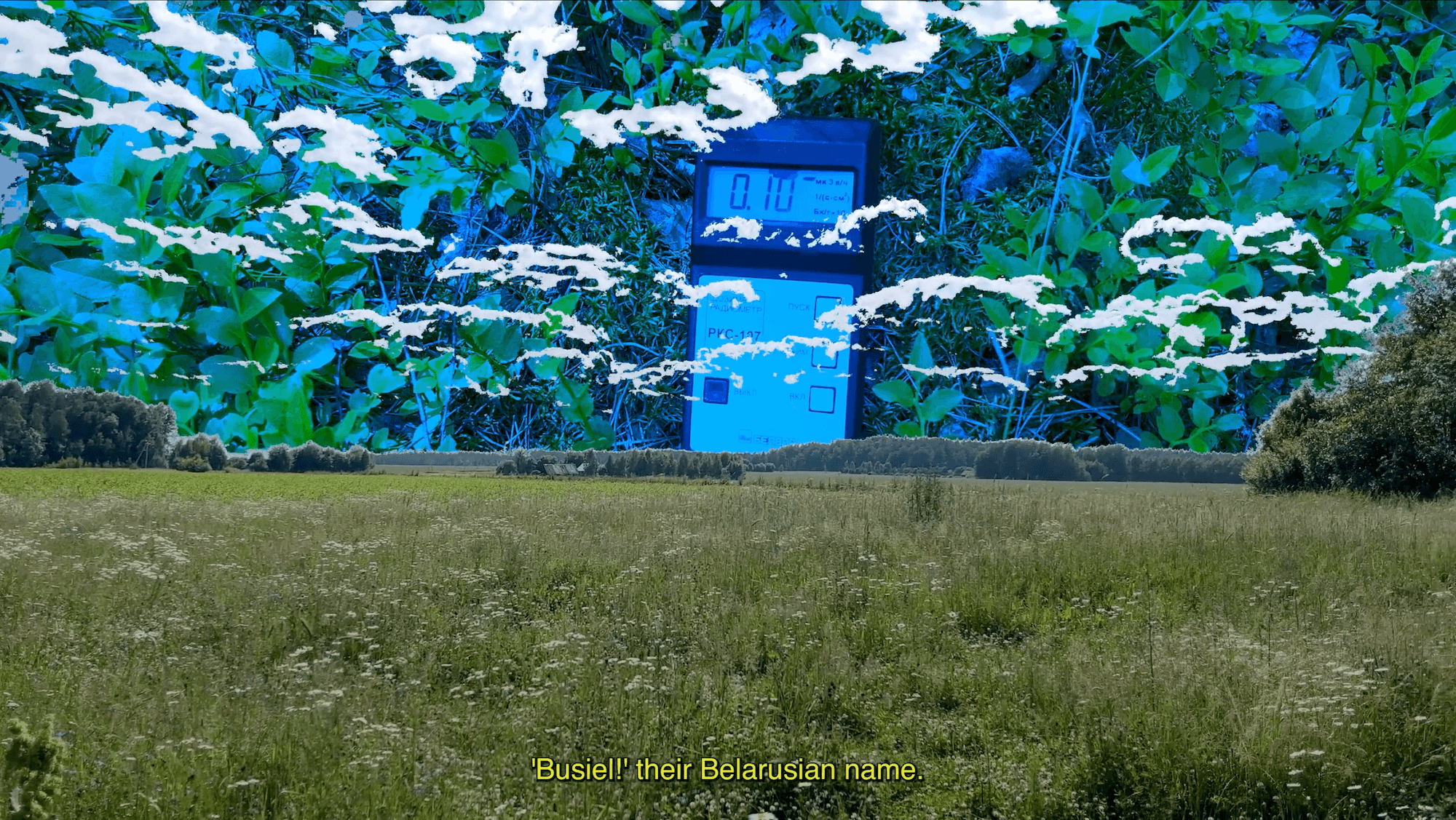 Иллюстрация: кадр из видео автор:ки “Rooting: search for a sign” (2023) https://vimeo.com/annaxyana/radiation2