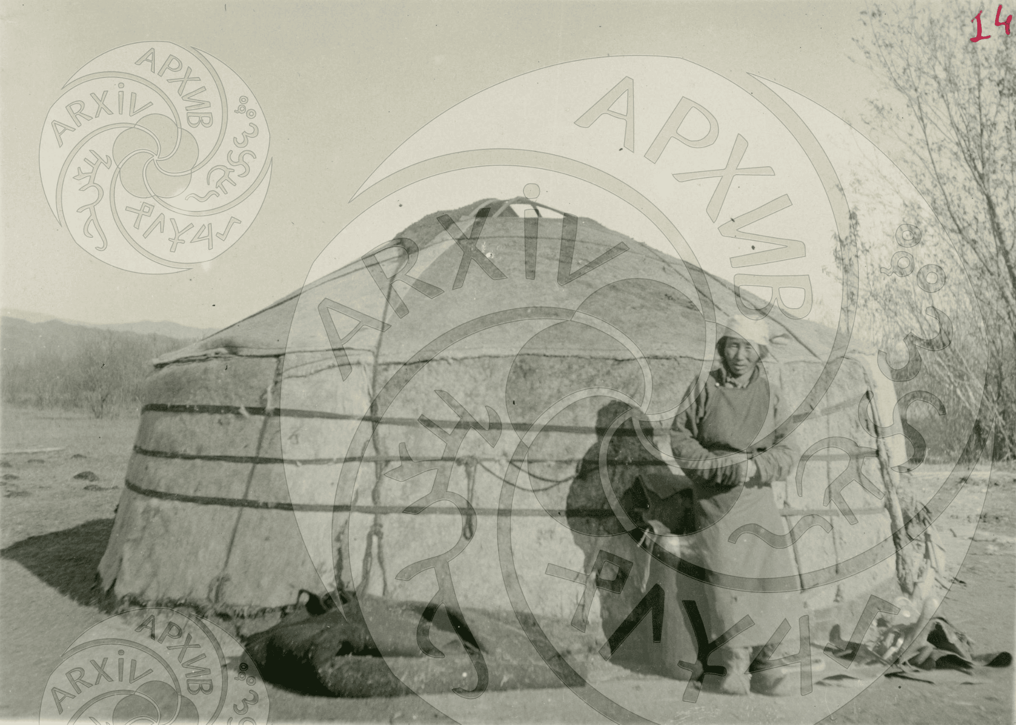 Photo 7. Yurt of a middle-income Arat. Ulug-Khemsky Khoshun. 1930.